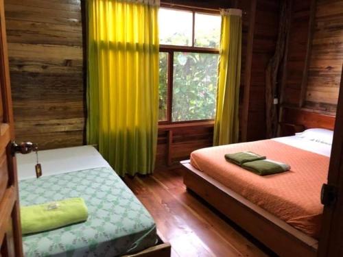 1 dormitorio con 2 camas y ventana en Coatí Lodge Misahuallí - FamiliyJungleParadise, en Puerto Misahuallí