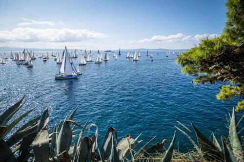 a large body of water with many sailboats on it at RELAX apartment Split area with private jacuzzi on terrace with mountain view in Srinjine
