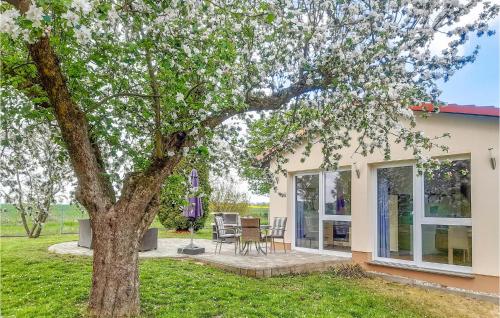 a house with a tree in the yard at Nice Home In Behrenhoff With Kitchen in Behrenhoff