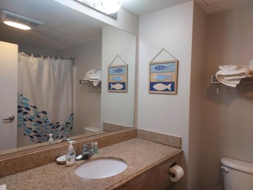 ein Badezimmer mit einem Waschbecken, einem WC und einem Spiegel in der Unterkunft OC North Beach ocean front condo with spectacular views in Hampton