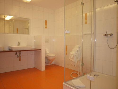 uma casa de banho com um chuveiro, um lavatório e um WC. em Hôtel Terminus em Porrentruy