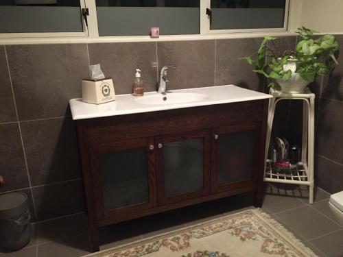 a bathroom with a sink and a mirror at KARANDA BnB in Rotorua