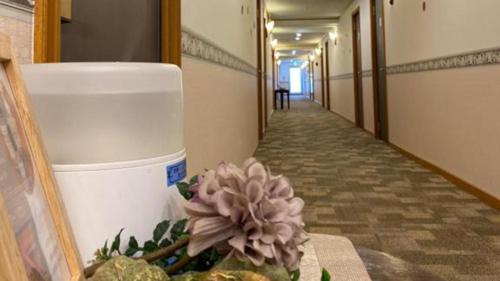 a flower on a table in a hallway at Toyoko Inn Tokyo Shinagawa Aomono-yokocho-eki in Tokyo