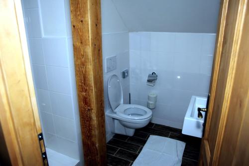 a small bathroom with a toilet and a sink at Penzion Pod lesem in Pec pod Sněžkou