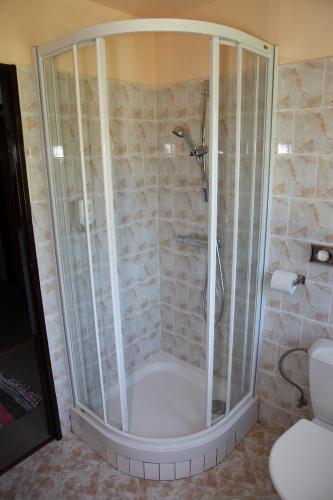 a bathroom with a shower and a toilet at Penzion Pod lesem in Pec pod Sněžkou