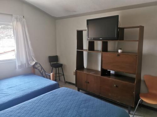 a bedroom with a bed and a tv on a dresser at Margaritas Eco Haus in Querétaro