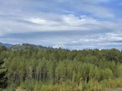 a snow covered mountain in the middle of a forest at Spacious North Cascades Riverside A-Frame with Mt Baker Views - Dog-Friendly in Concrete