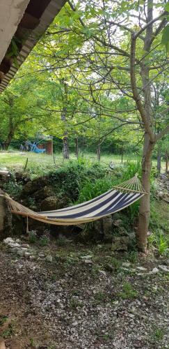 a hammock sitting under a tree in a park at Mirni kutak in Donje Pazarište