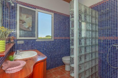 a blue tiled bathroom with a sink and a toilet at Racó Blau in Cap d'en Font