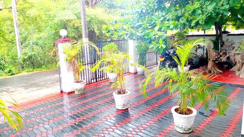 Hilton Cottage – ఫోటోలు 5