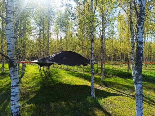 a tent in the middle of a forest with trees at Hannaksen tila in Korppoo