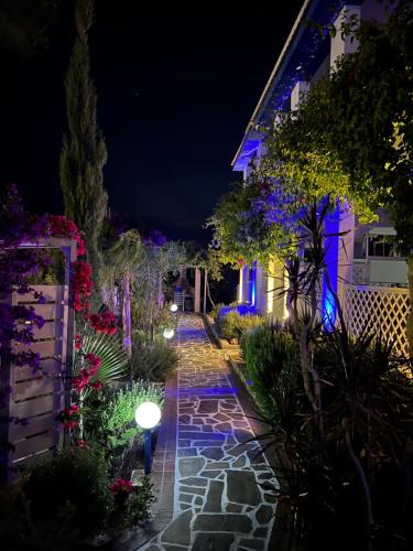 a garden lit up at night with purple lights at SCALA APARTS & STUDIOS - Rhodes in Afantou