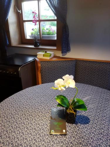 a book on a table with a plant on it at Julianna Nyaraló in Csopak