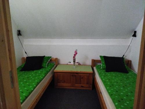 two beds in a room with green sheets at Julianna Nyaraló in Csopak