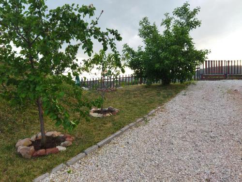 two trees on the side of a gravel road at Julianna Nyaraló in Csopak