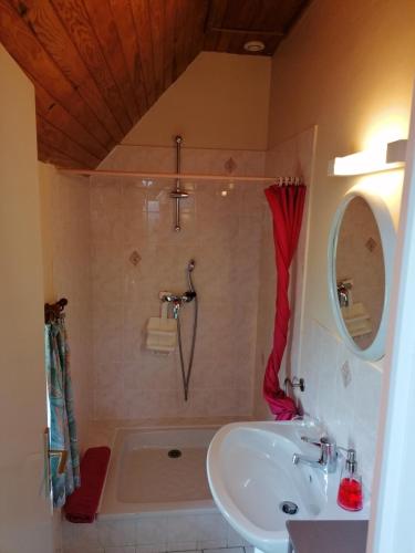 une salle de bain avec une douche, un lavabo et une baignoire dans l'établissement Gîtes à 30 min de la Pointe du Raz, à Mahalon