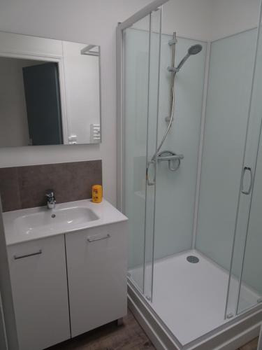 a bathroom with a shower and a sink at Appartement Petite Auberge in Saint-Jean-dʼAssé