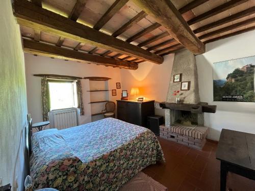 a bedroom with a bed and a fireplace at Agriturismo Bio I Rondinelli in Arcidosso