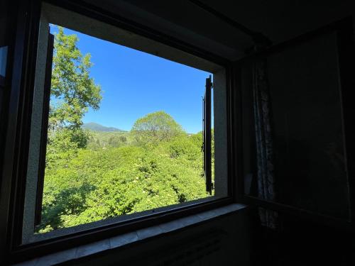 a window with a view of a green forest at Agriturismo Bio I Rondinelli in Arcidosso