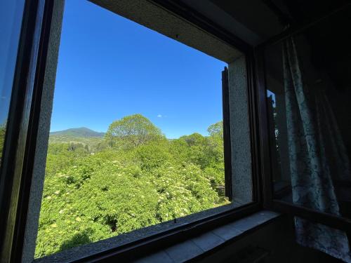 a window with a view of a green field at Agriturismo Bio I Rondinelli in Arcidosso