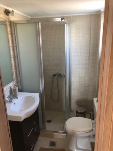 a bathroom with a shower and a toilet and a sink at Villa Petries Relaxed Holidays in Agioi Apostoli