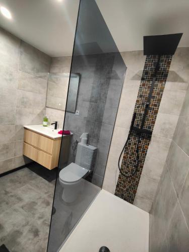 La salle de bains est pourvue de toilettes et d'un lavabo. dans l'établissement Échoppe typique, à Bordeaux