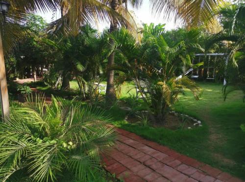 a garden with palm trees and a brick path at Villa Mistika in Zorritos