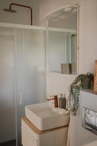 Apartments Prce