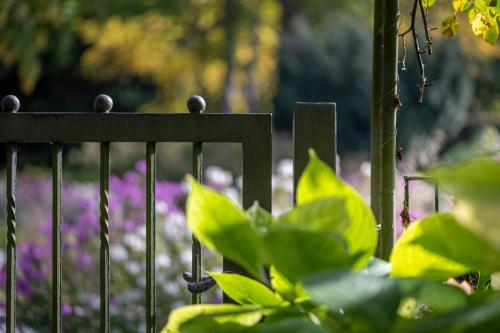 a metal fence with purple flowers in the background at Hotel Garni Villa Rosengarten in Überlingen