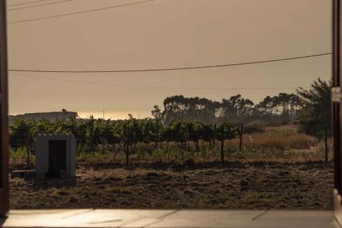 a view of a vineyard with a door in a field at Heu’s Monte in Odemira