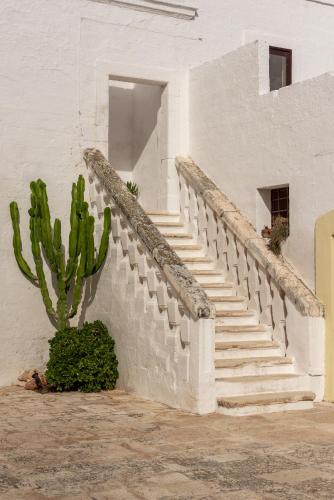 a staircase in a white building with a cactus at Masseria Borgo San Marco in Fasano