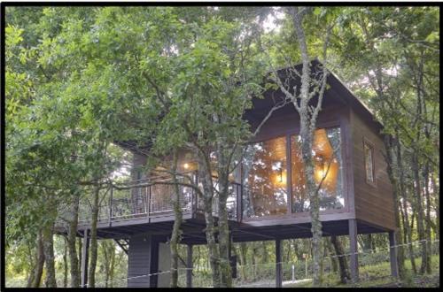 une cabane dans les arbres avec une terrasse dans les arbres dans l'établissement Cabañas Mirador de Ézaro, à Arcos