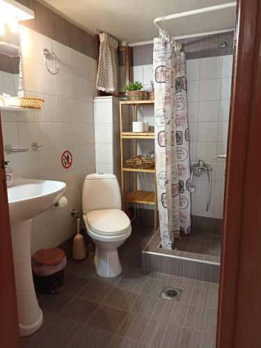 a bathroom with a toilet and a sink and a shower at ΠΛΑΤΕΙΑ-PLATIA in Ayios Nikolaos Sithonia