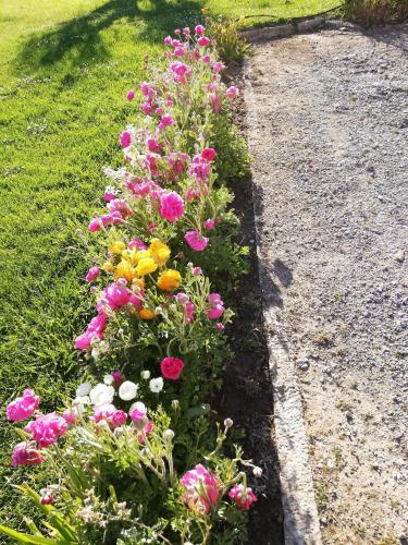 Jardín al aire libre en Agriturismo Merano