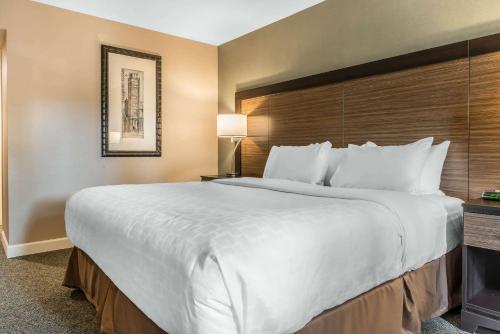 Katil atau katil-katil dalam bilik di Clarion Inn Belle Vernon