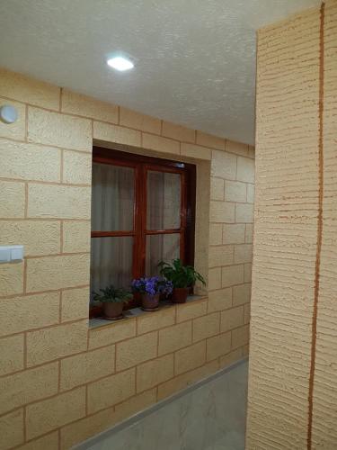 a brick wall with three potted plants on a window at ECO guest house in Berd