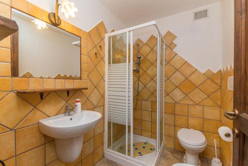 a bathroom with a shower and a sink and a toilet at Stazzu La Piredda in Arzachena