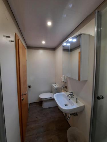 a bathroom with a toilet and a sink and a mirror at Pension Kreuzinger, 5310 Tiefgraben in Mondsee