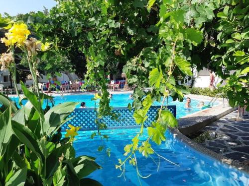 Gallery image of Oasis Hotel Bungalows Rhodes- All Inclusive in Afantou