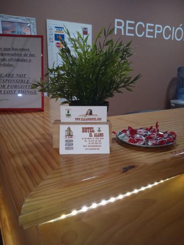 a potted plant sitting on top of a wooden table at HOTEL El ALAMO MADRID in El Álamo