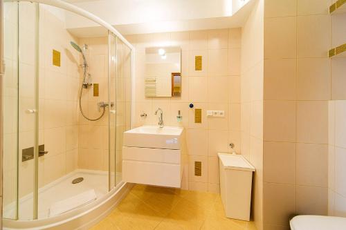 a bathroom with a shower and a sink and a toilet at Trevilles Ap.- Martynówka in Szklarska Poręba