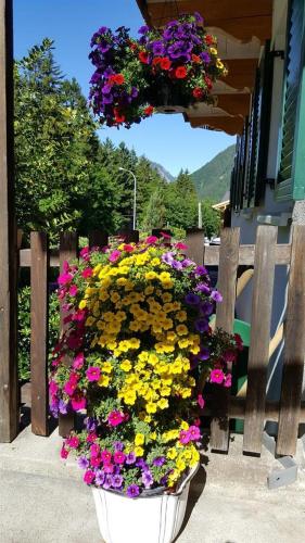 a large pot of flowers hanging from a fence at Ferienwohnung Stelzis in Wald am Arlberg