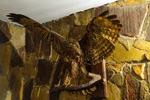 a statue of a bird on a stone wall at Topuzovi Guest House in Dobrinishte