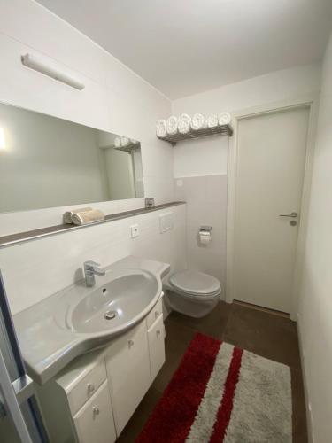 EppsteinにあるYour Sweet Home 2 Near Frankfurt /Wiesbadenの洗面台とトイレを備えた白いバスルーム