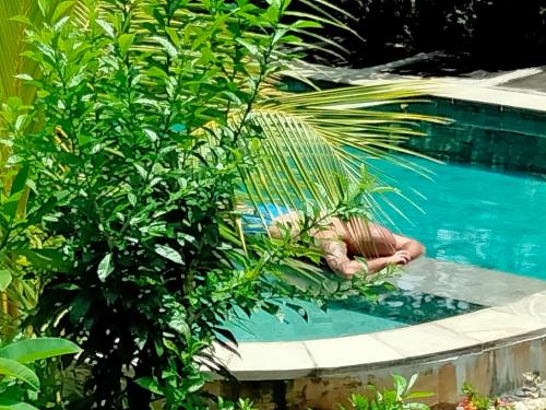 a swimming pool with a palm tree in the middle at Pier26 Bali Homestay in Nusa Dua