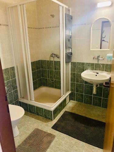 a bathroom with a shower and a toilet and a sink at Hvězdonice Hostinec U Kuželků in Hvězdonice