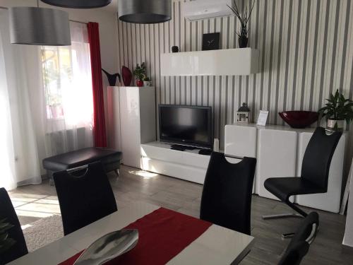 Televízia a/alebo spoločenská miestnosť v ubytovaní Szőlőskert Apartman 8 fős