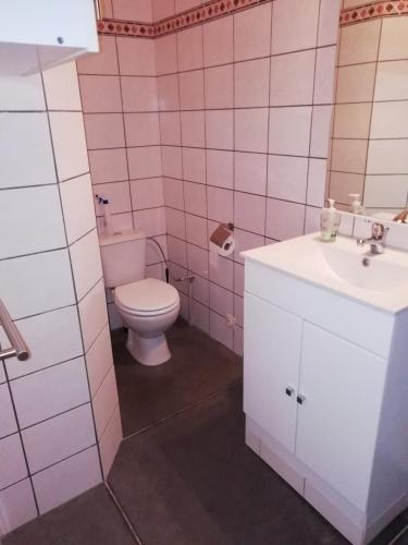 a pink bathroom with a toilet and a sink at Florennes Gîte neuf 150 M2 devant un grand lac privé de 2 hectares poissonneux au milieu des bois in Florennes
