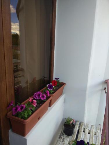 Φωτογραφία από το άλμπουμ του Sunny Aura apartment σε Yerevan