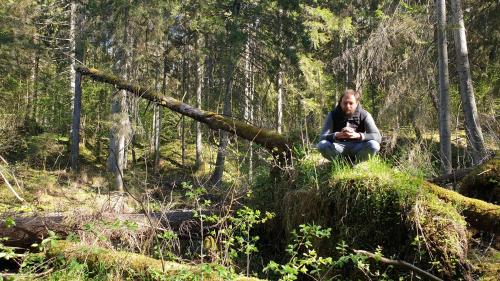 a person sitting on a log in the woods at Amatų kalnelis in Anykščiai